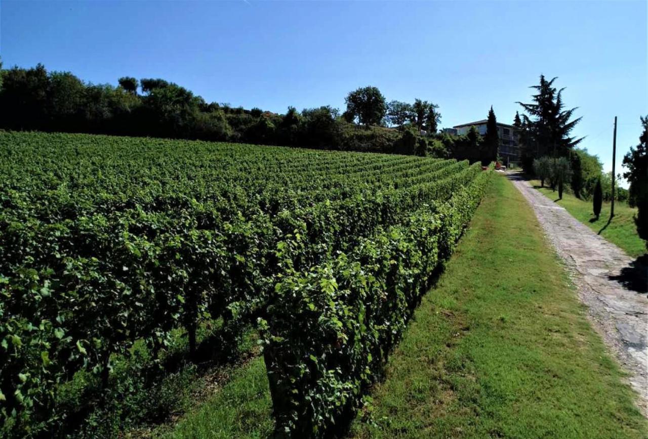 Agriturismo La Guarda Picedo Exterior photo
